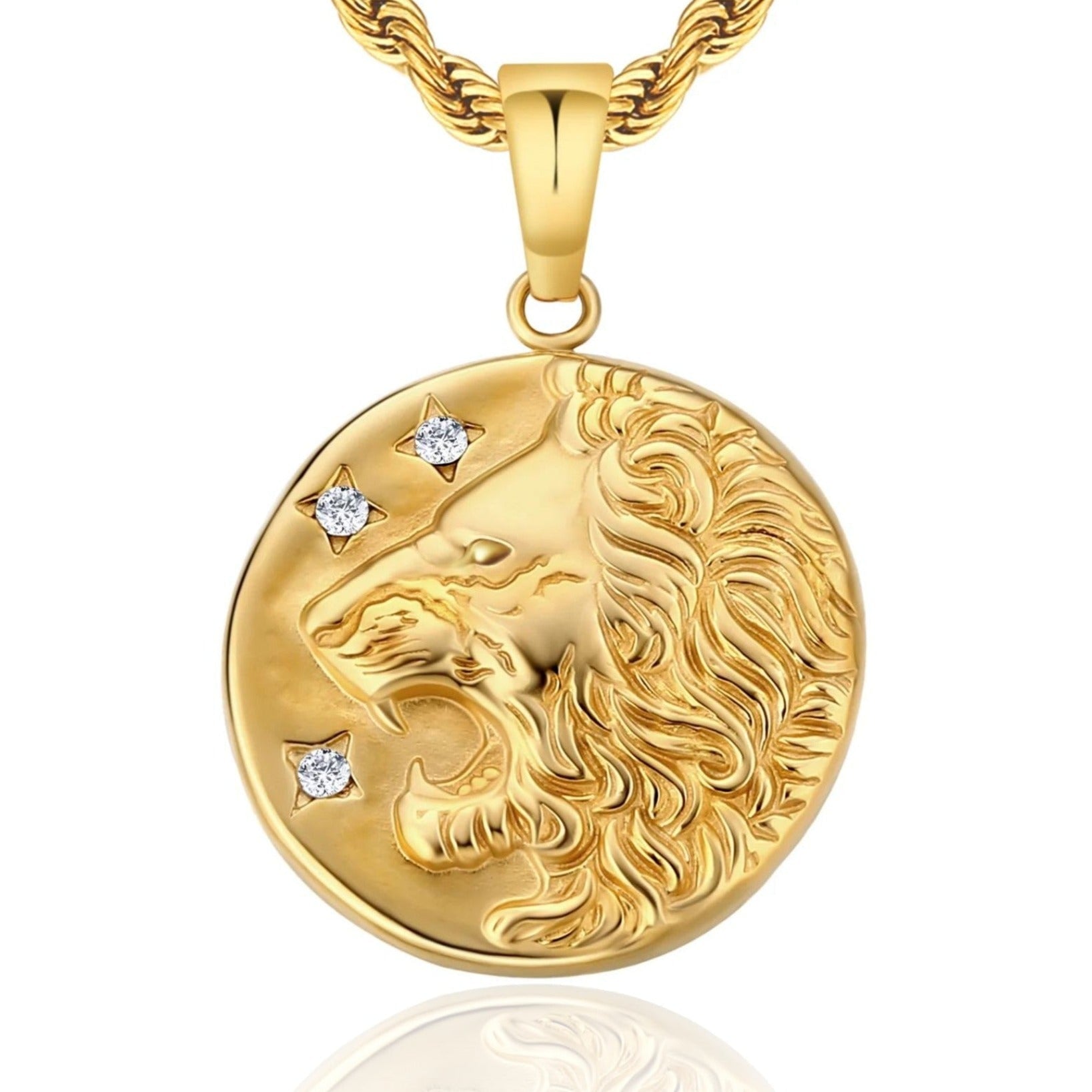 Lion Head Coin Pendant Necklace 18K Gold Free Rope Chain