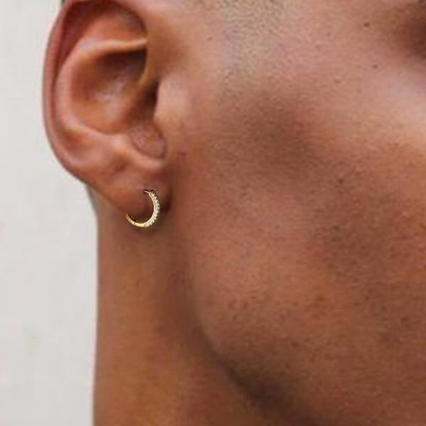 The Wealth Circle® - 925 Sterling Silver Iced Out Diamond Hoop Earrings in 14K Gold Earrings 